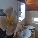 Novak شقة