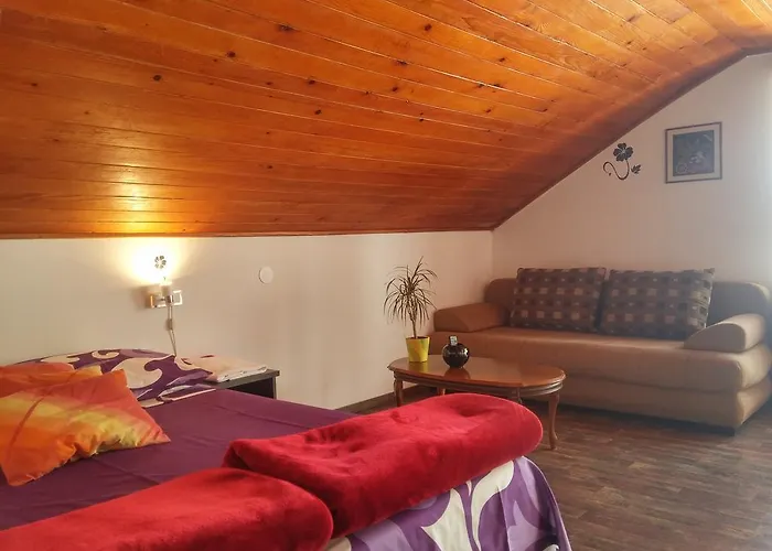 Novak * Ντουμπρόβνικ