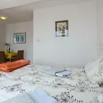 Novak * Dubrovnik