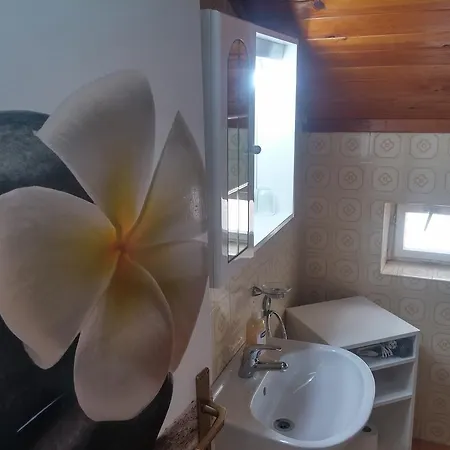 Novak Apartment